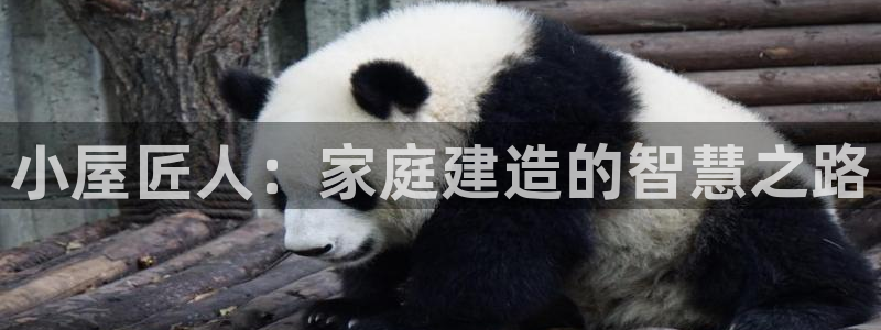 安信12娱乐主管：小屋匠人：家庭建造的智慧之路