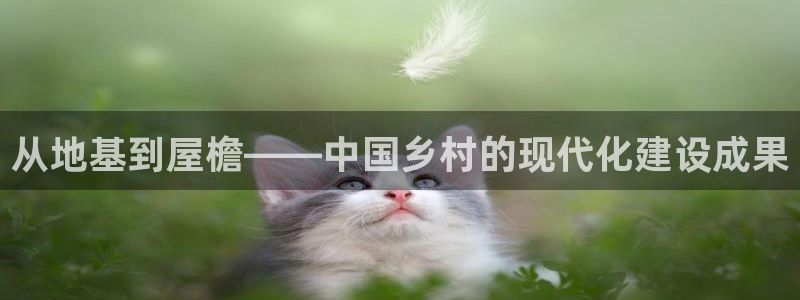 安信12官方网站查询：从地基到屋檐——中国乡村的现代化建设成果