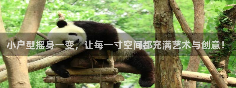 安信可12f代码：小户型摇身一变，让每一寸空间都充满艺术与创意！