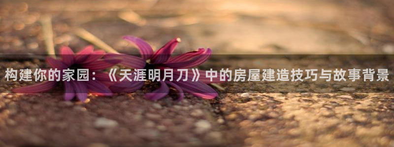 安信12娱乐招商：构建你的家园：《天涯明月刀》中的房屋建造技巧与故事背景