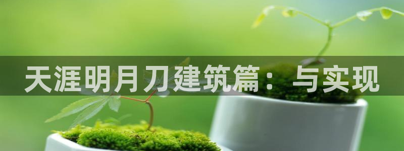 安信12是什么平台：天涯明月刀建筑篇：与实现