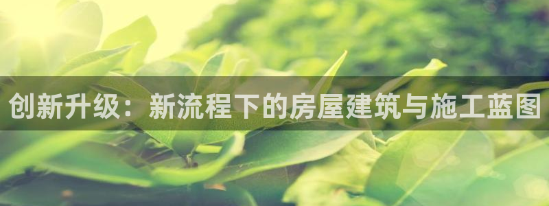 安信12是正规平台吗：创新升级：新流程下的房屋建筑与施工蓝图