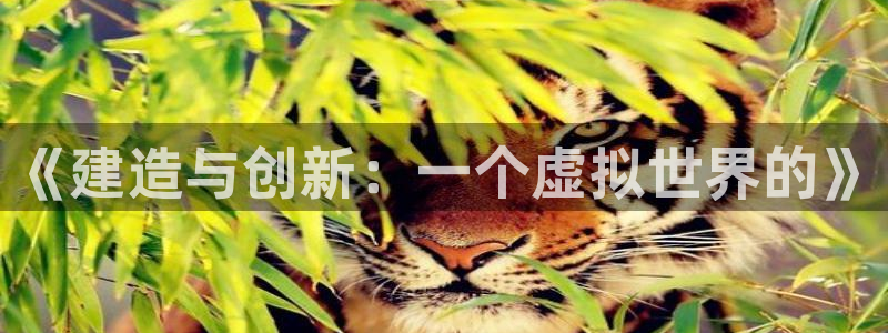 信安12乐打棒：《建造与创新：一个虚拟世界的》