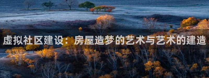 安信12想开户：虚拟社区建设：房屋造梦的艺术与艺术的建造
