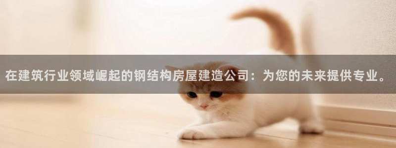 信安12：在建筑行业领域崛起的钢结构房屋建造公司：为您的未来提供专业。