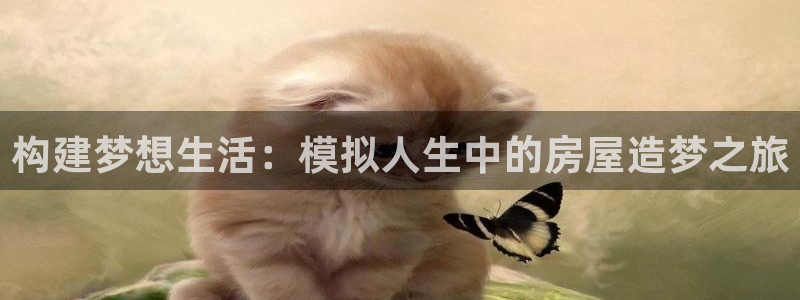 安信12娱乐招商探索空间：构建梦想生活：模拟人生中的房屋造梦之旅