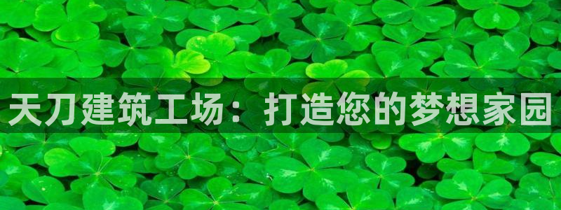 安信12官方网站查询：天刀建筑工场：打造您的梦想家园