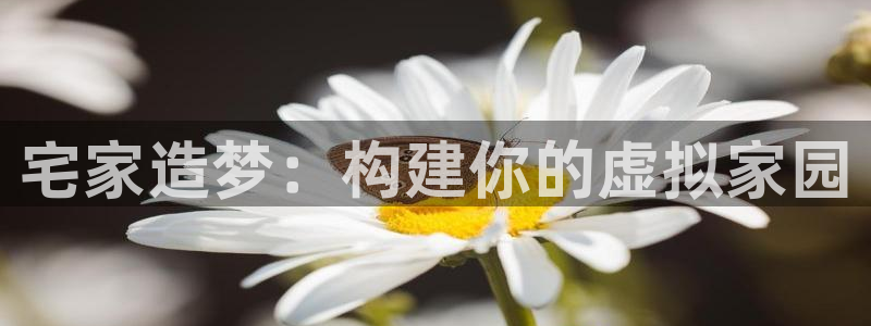安信12是什么平台：宅家造梦：构建你的虚拟家园