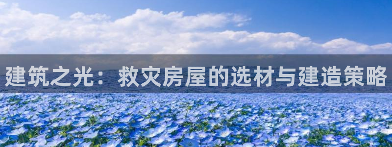 安信12网页版：建筑之光：救灾房屋的选材与建造策略