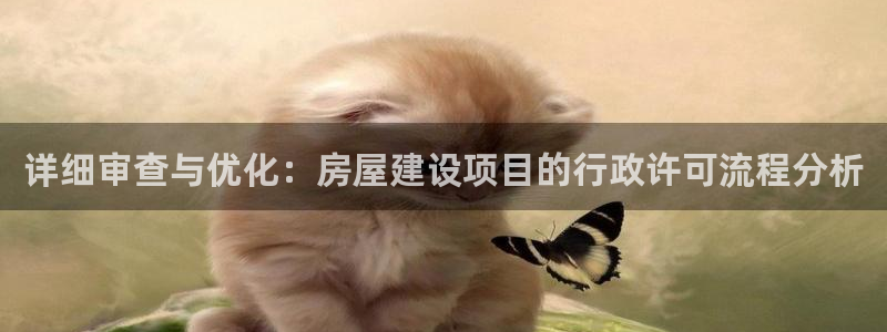 安信12网页版：详细审查与优化：房屋建设项目的行政许可流程分析