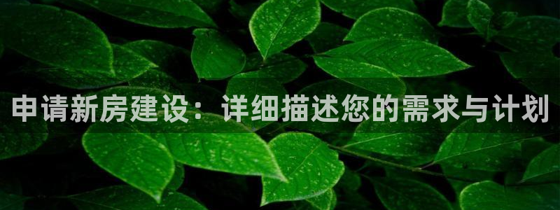 安信信托12 期：申请新房建设：详细描述您的需求与计划