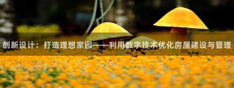 安信可esp-12：创新设计：打造理想家园——利用数字技术优化房屋建设与管理