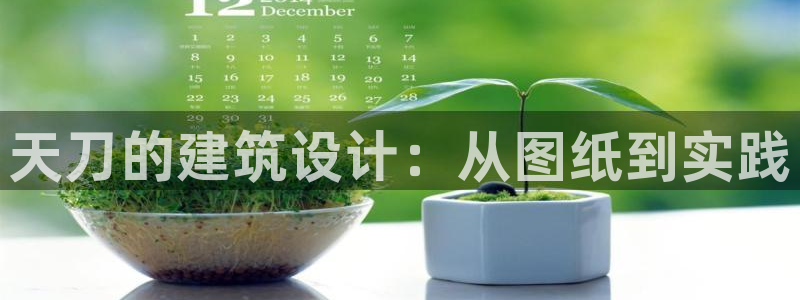 安信12是什么软件：天刀的建筑设计：从图纸到实践