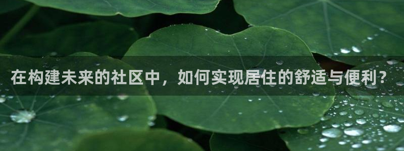 安信12真假：在构建未来的社区中，如何实现居住的舒适与便利？