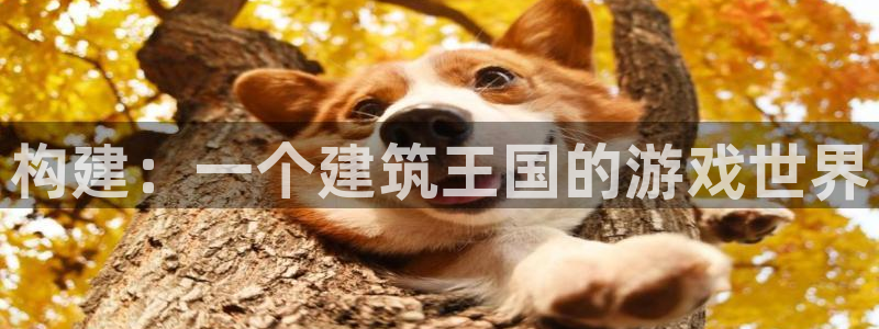 安信12是正规平台吗：构建：一个建筑王国的游戏世界