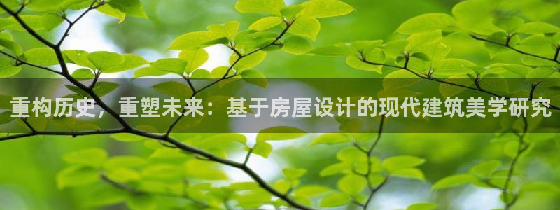 安信esp12：重构历史，重塑未来：基于房屋设计的现代建筑美学研究