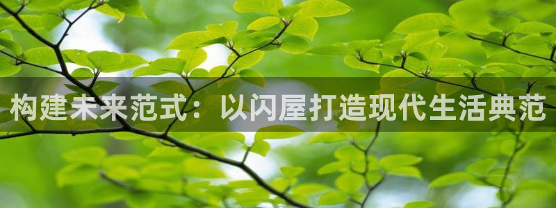 安信esp12：构建未来范式：以闪屋打造现代生活典范
