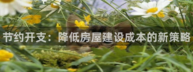 安信12彩票app下载：节约开支：降低房屋建设成本的新策略